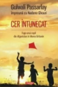 Cer intunecat. Fuga unui copil din Afganistan in Marea Britanie de Gulwali Passarlay
