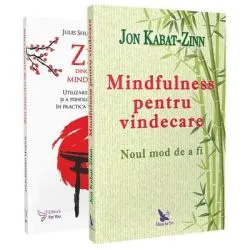 Pachet de carti Mindfulness de Jules Shuzen Harris
