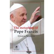 The metaphors of Pope Francis