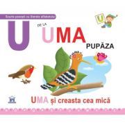 U de la Uma, pupaza. Necartonata
