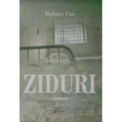 Ziduri