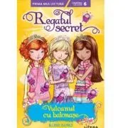 Regatul secret. Vulcanul cu balonase (Nivelul 6) de Rosie Banks