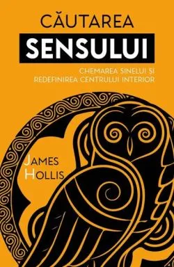 Căutarea sensului de James Hollis