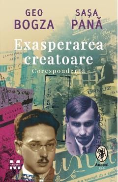 Exasperarea creatoare. Corespondenta