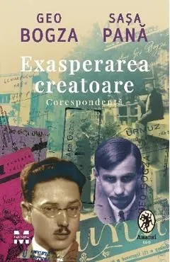 Exasperarea creatoare. Corespondenta de Sasa Pana
