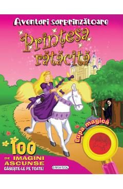 Aventuri surprinzatoare. Printesa ratacita