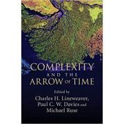 Complexity and the Arrow of Time