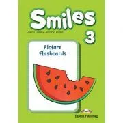 Curs Limba Engleza Smiles 3 Picture Flashcards de Jenny Dooley