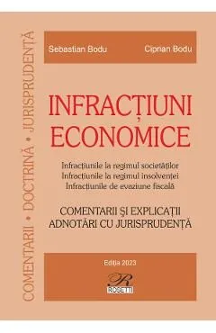 Infractiuni economice de Ciprian Bodu