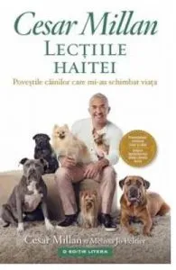 Lectiile haitei