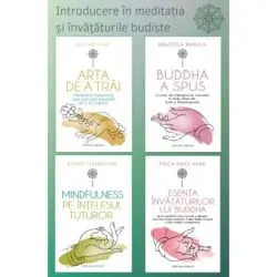 Pachet Introducere in meditatia si invataturile budismului