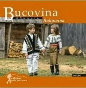 Bucovina de Florin Andreescu