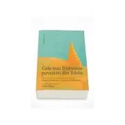 Cele mai frumoase povestiri din Biblie, Ioan Salomie de Ioan Salomie