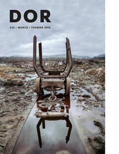 Decat o Revista Nr. 25