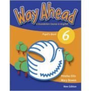 Way Ahead 6, Manual de limba engleza Pupil