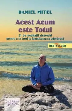 Acest acum este totul de Daniel Mitel