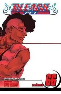 Bleach, Vol. 66 de Tite Kubo