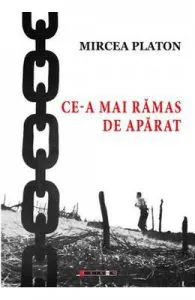 Ce-a mai ramas de aparat de Mircea Platon