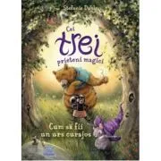 Cei trei prieteni magici de Stefanie Dahle
