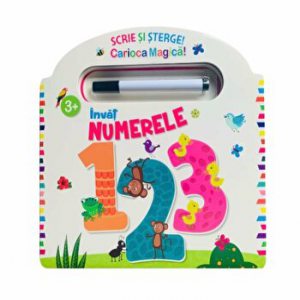 Disney. Printese. Poveste cu pictograme. Prima mea lectura. Citesc cu ajutor. Nivelul 1