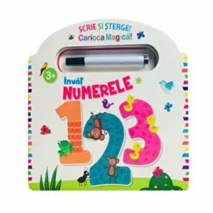 Disney. Printese. Poveste cu pictograme. Prima mea lectura. Citesc cu ajutor. Nivelul 1