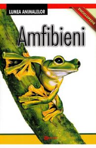 Enciclopedie: Amfibieni