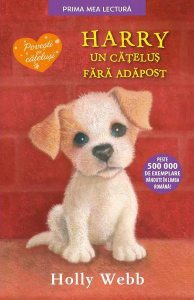 Harry, un cățeluș fără adapost PB