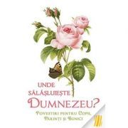 Unde salasluieste Dumnezeu. Povestiri pentru copii, parinti si bunici - LS Desartovici, Ilustratii Olga Bersan