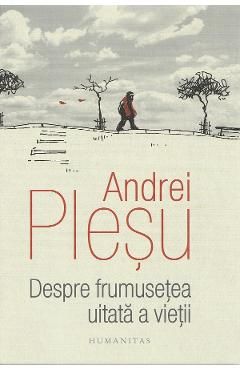Despre frumusetea uitata a vietii