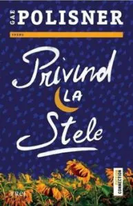 Privind la stele de Gae Polisner