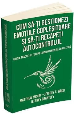 Cum sa-ti gestionezi emotiile coplesitoare si sa-ti recapeti autocontrolul