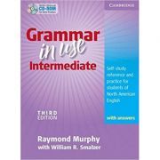Grammar in Use Intermediate Student