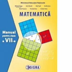 Matematica - Manual de S. Borodi
