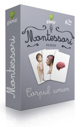 Montessori. Vocabular: Corpul uman