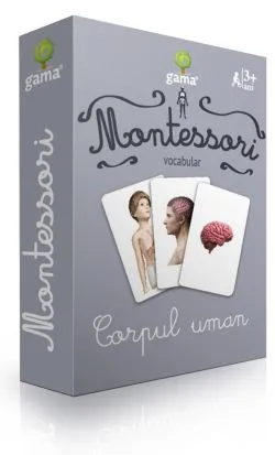 Montessori. Vocabular: Corpul uman