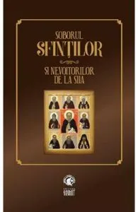 Soborul sfintilor si nevoitorilor de la Siia