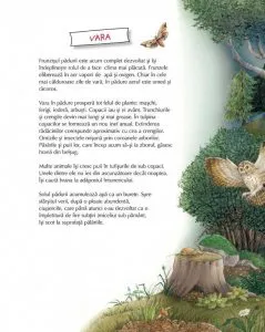 Vino cu noi prin padure! de Susanne Riha