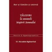 Aur si tamaie si smirna. Talcuire la Canoanele Nasterii Domnului