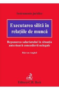Executarea silita in relatiile de munca. Repunerea salariatului in situatia anterioara concedierii nelegale