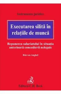 Executarea silita in relatiile de munca. Repunerea salariatului in situatia anterioara concedierii nelegale de Razvan Anghel