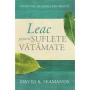 Leac pentru suflete vatamate. Vindecare de ranile din trecut de David A Seamands