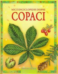 Mica enciclopedie despre copaci