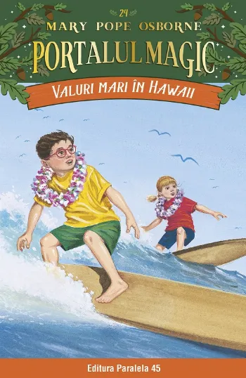 Valuri mari în Hawaii