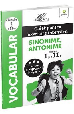 Vocabular. Caiet pentru exersare intensiva - Clasele 1-2