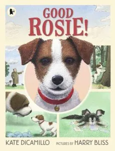 Good Rosie! de Kate DiCamillo