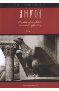 Amvon Vol. 3: Predici si meditatii la vietile sfintilor de Dumitru Cobzaru
