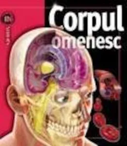 Corpul omenesc de Linda Calabresi