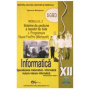 Manual informatica, clasa a 12-a, modulul 2