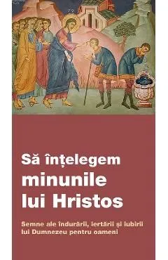 Sa intelegem minunile lui Hristos. Semne ale indurarii, iertarii si iubirii lui Dumnezeu pentru oameni de Autor Anonim