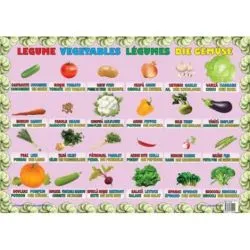 Legume - Plansa educativa